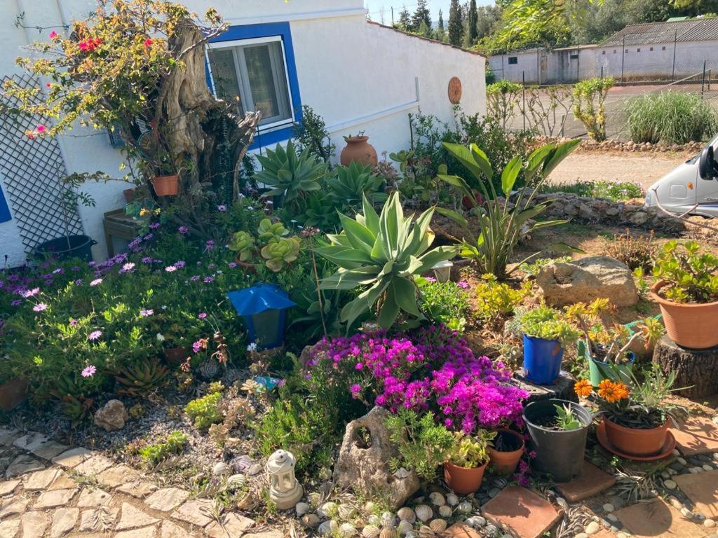 Casa Joy Villa Guia  Eksteriør bilde